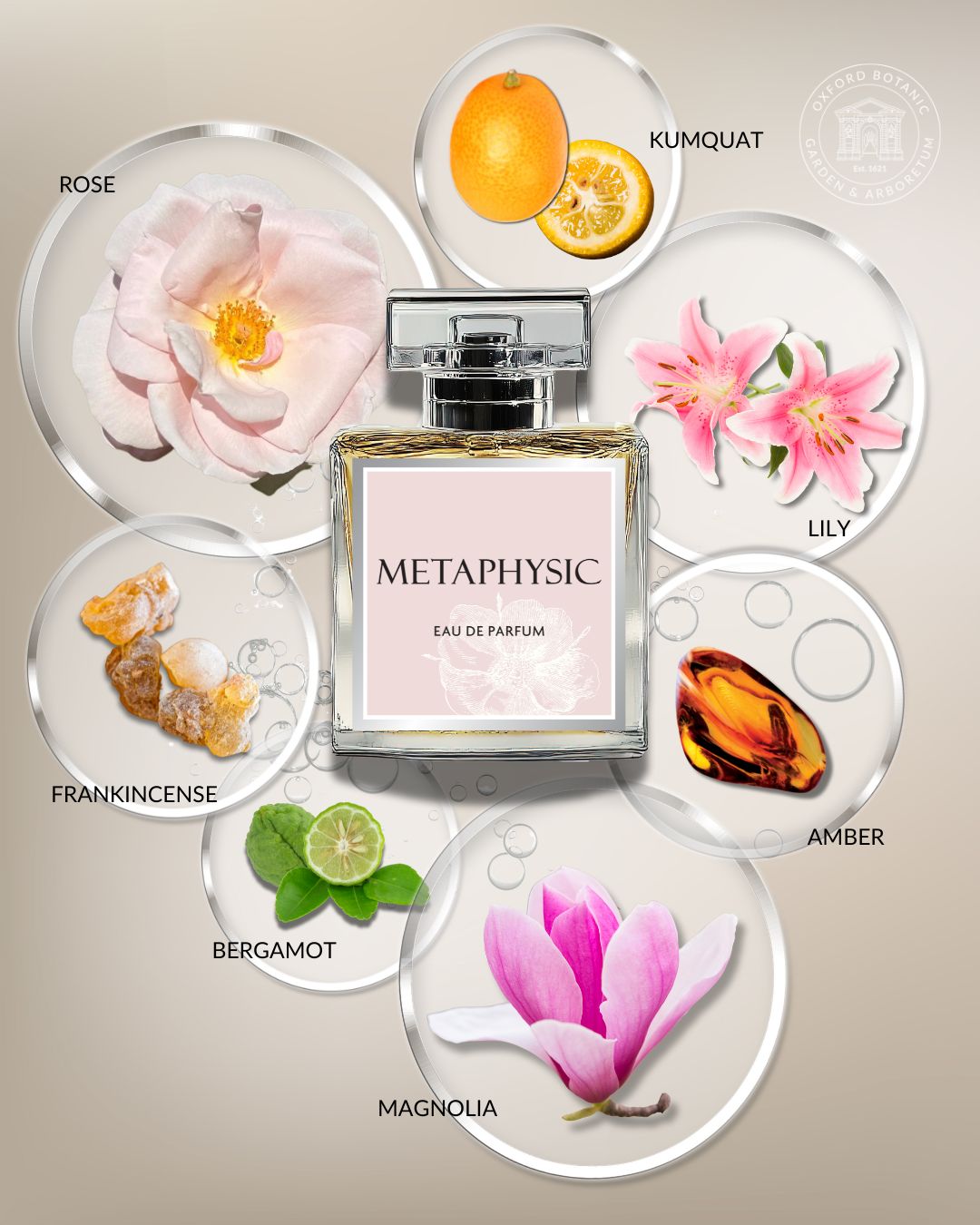 metaphysic perfum 