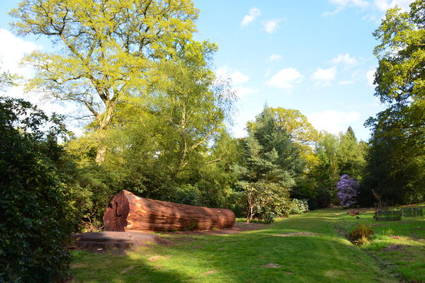 Serpentine Ride in Spring