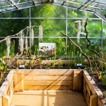 carnivorous plant house