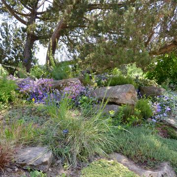 The Rock Garden in Summer