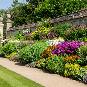 herbaceous border  summer  lower garden  oxford botanic garden