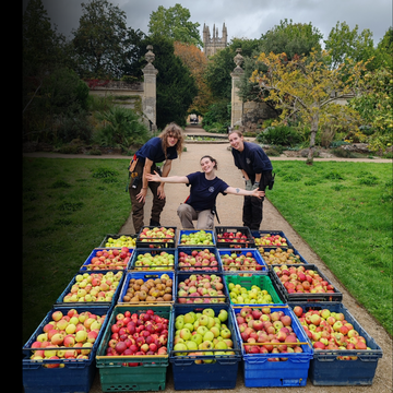 Orchard at Oxford Botanic Garden